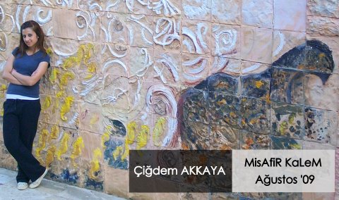 evrengunlugu Ağustos '09 MisAfiR KaLeMi